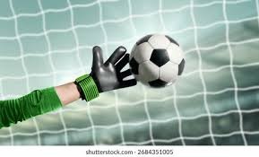 佛罗伦萨主席科米索因病去世