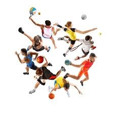 明尼苏达双城队本垒打数刷新纪录，被称为“Bomba Squad”